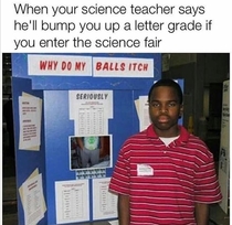 The Science Fair