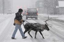 The seeing eye dog of Canada