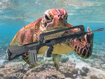 The sees will not be harmed when the turtles are armed