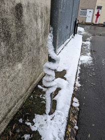 The seldom seen snow snake