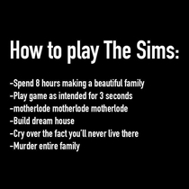 the sims