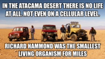 The smallest living organism in the desert Top gear humor