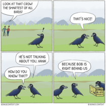 The Smartest Bird 