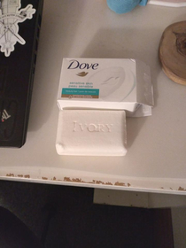 The Soap I was Expecting Versus the Soap that Came Out of the Box
