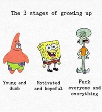 The  stages of growing up