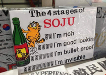 The  Stages Of Soju