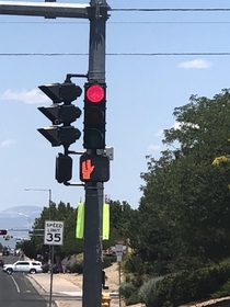 The stop light by my house is now a Spock light