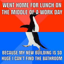 The struggle of working in a large organization