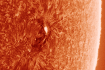 The suns surface from yesterday captured with a telescope