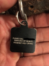 The tag on our doggo that my wife made for her
