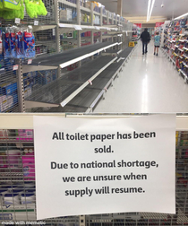 The toilet paper shelves at a supermarket in Melbourne the shelf is  meters long