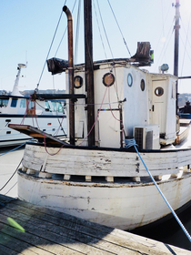 The Tooth Ferry