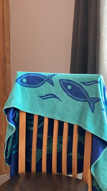 The towel of judgment