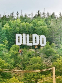 The town of Dildo Newfoundland Canada just erected a new sign