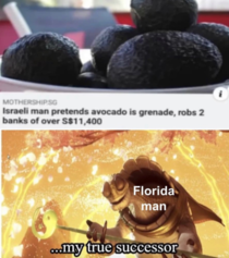 The true Florida man