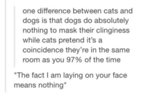 The truth about cats