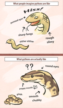 The truth about Pythons