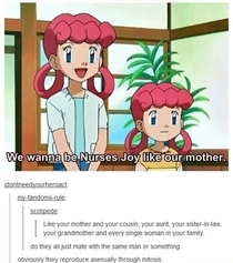 The truth behind Nurse Joy