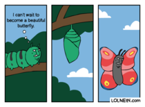 The Ugly Caterpillar