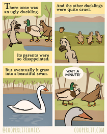 The Ugly Duckling