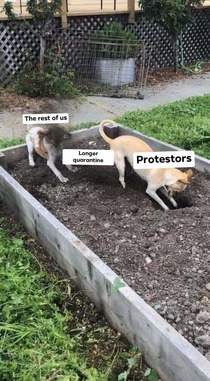 The US right now
