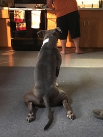The way he prefers to sit