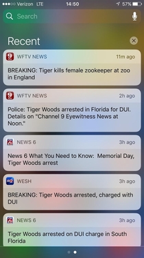 The way my news alerts came in made me think it was all the same Tiger