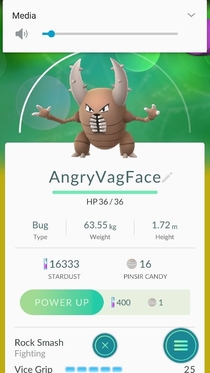 The wife enjoys naming her caught Pokemon