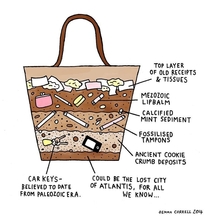 The Womens Handbag