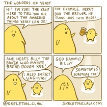 The Wonders of Yeast