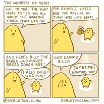 The wonders of yeast