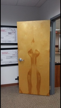 The wood grain on this door looks like a damp woman ran into it