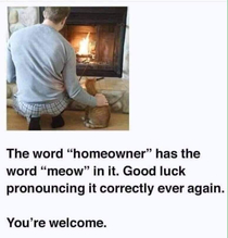 The word Homeowner