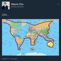 The world is cat