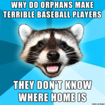 The World Series of Lame Pun Racoons