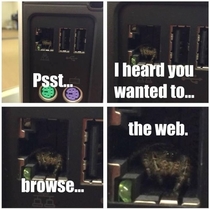 The world wide web