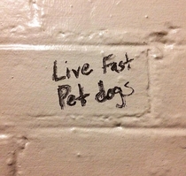 The writing on the bathroom wall