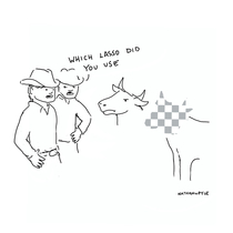 The wrong one