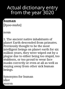 THE YEAR  DICTIONARY