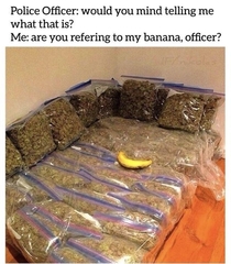 Them bananas