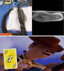 There a boot in my snake