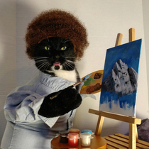 There are no meow-stakes only happy accidents