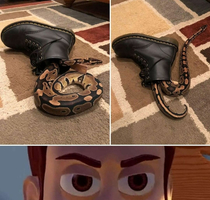 there is a snake in my boot