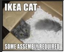 There is always a few missing pieces when you get a Ikea Cat