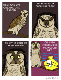 There was a wise Owl