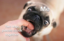 There was no other way
