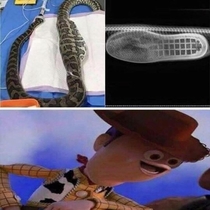 Theres a boot in my snake