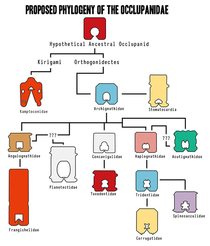 Theres a group dedicated to the study of the little plastic clips that keep bread bags sealed - Theyre called Occlupanids