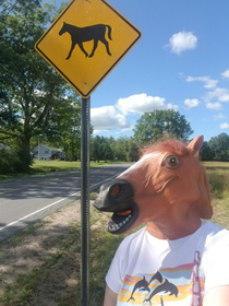 Theres a horse crossing sign near my house I knew immediately what needed to be done