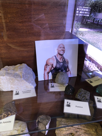 Theres a photo of Dwayne Johnson in the rock section of this nature center I was in
